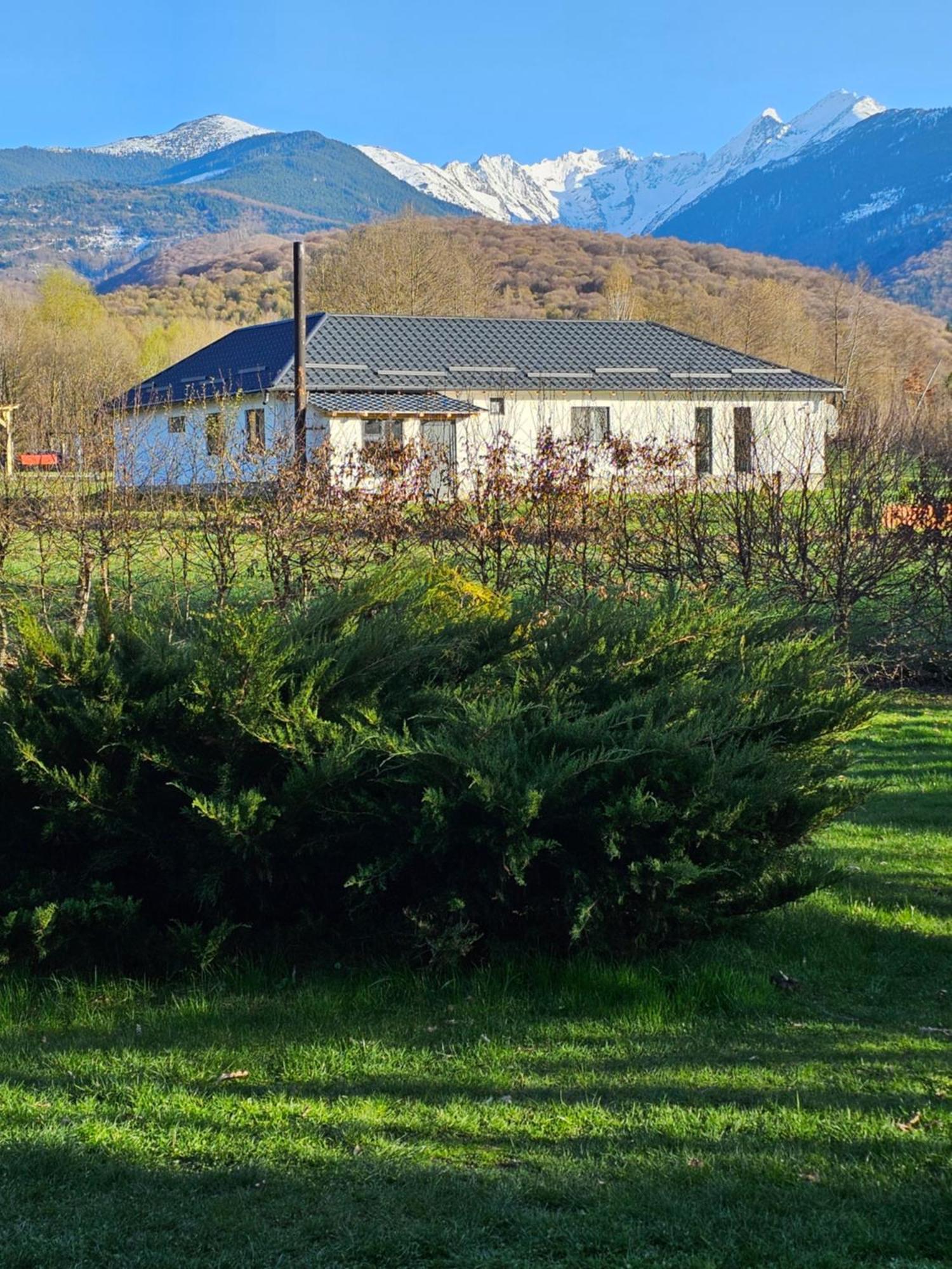 Casa De Vacanta Marin Arpasu de Sus Exterior photo